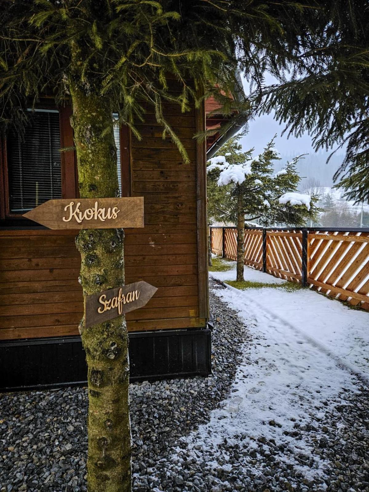 Domek Drewniany Krokus Witów Exterior foto