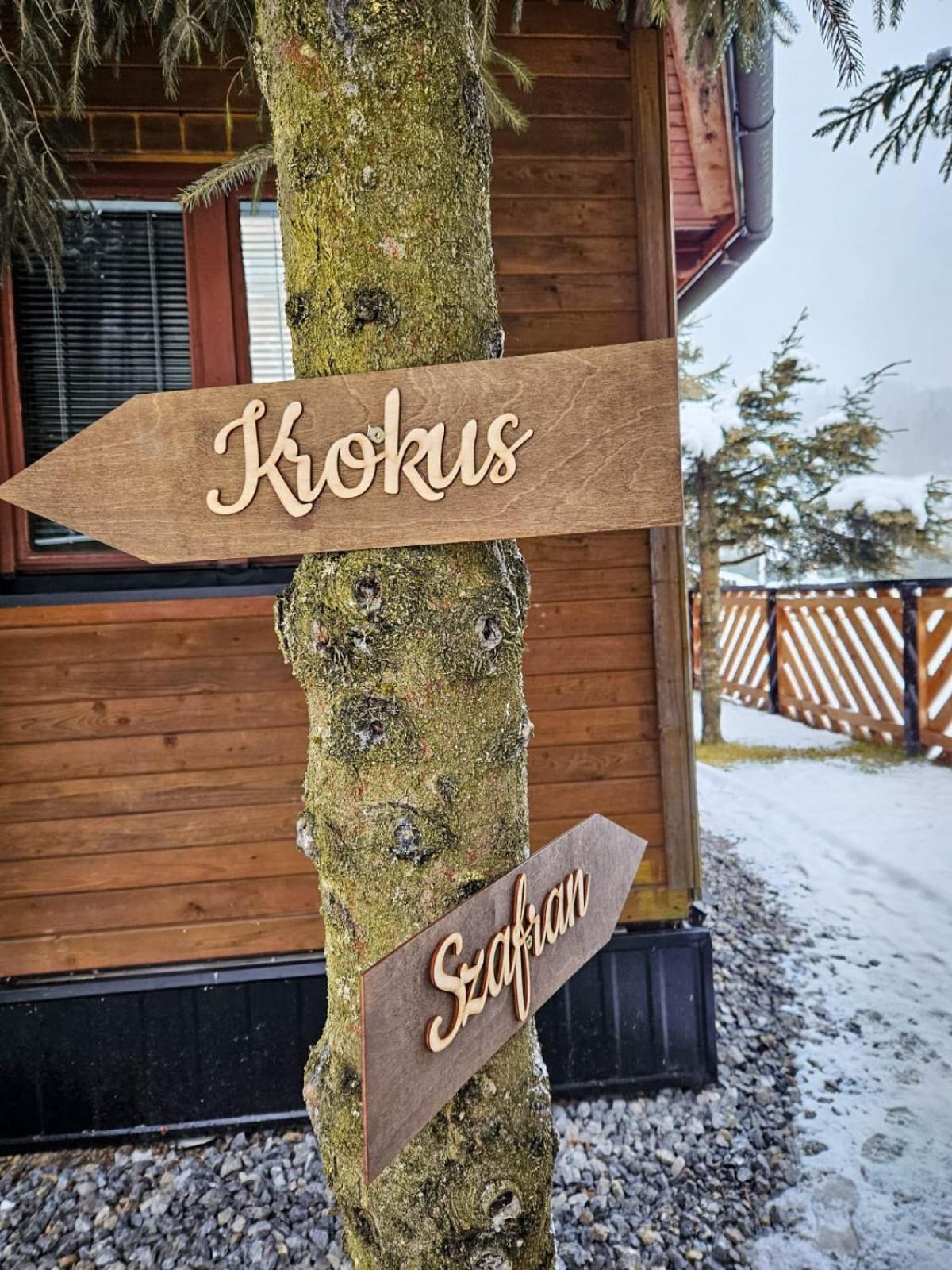 Domek Drewniany Krokus Witów Exterior foto